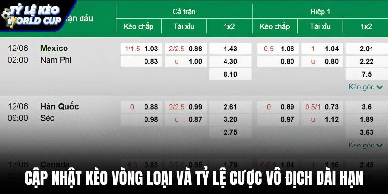 Tỷ lệ cược vô địch kèo nhà cái 5 và vòng loại dài hạn