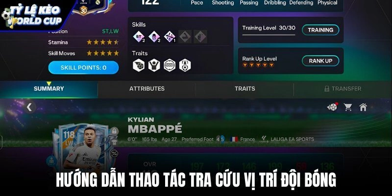 Tra cứu dữ liệu Bảng xếp hạng bóng đá nhanh chóng